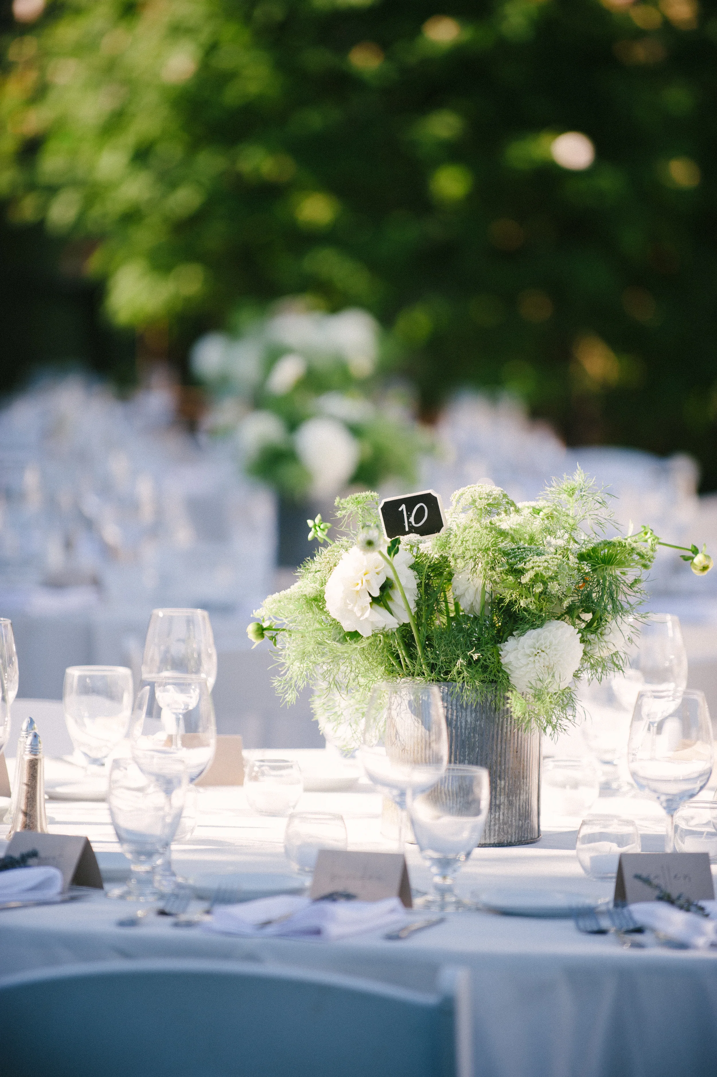 Alana Tyson Final 478.jpg