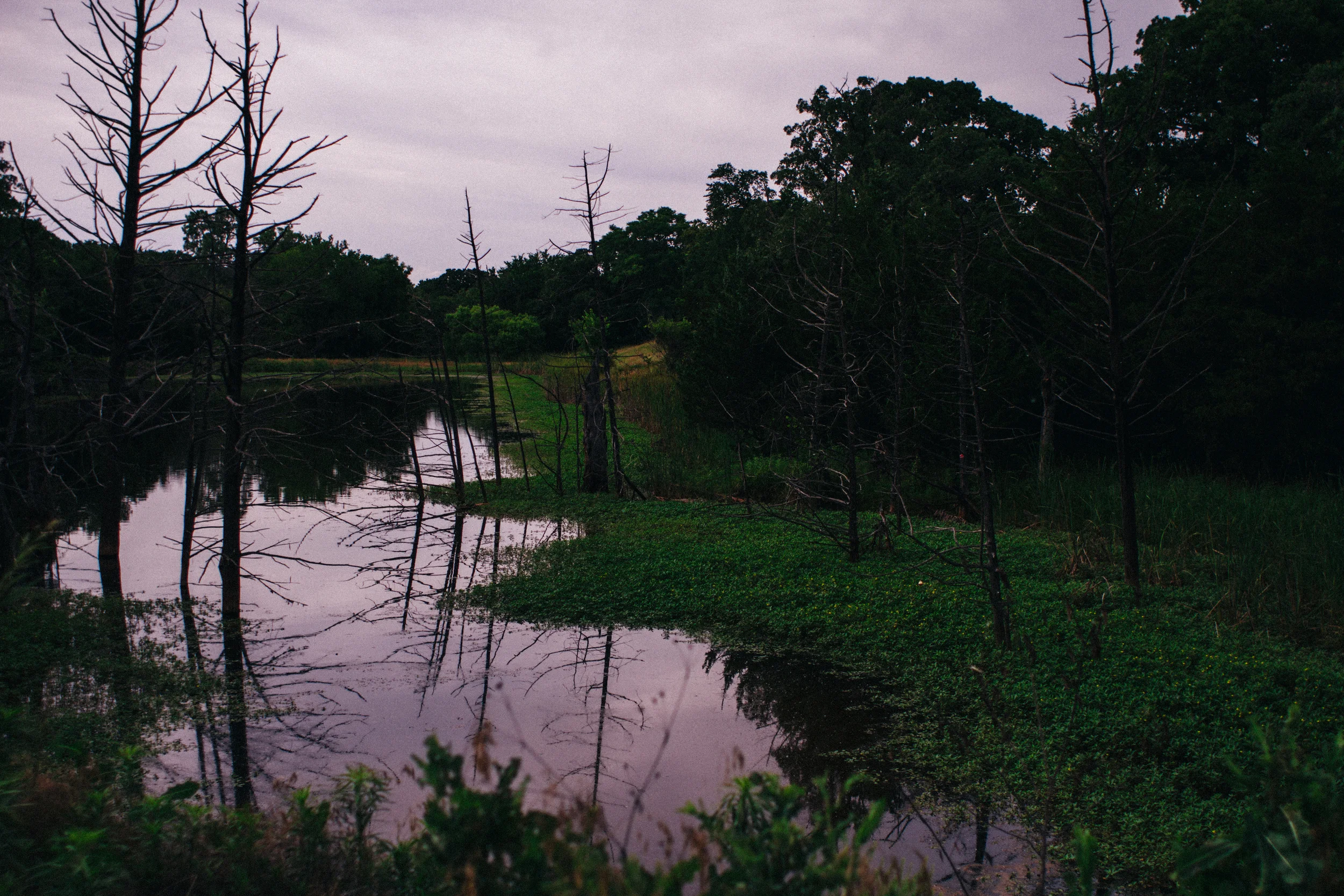 untitled6-7.jpg