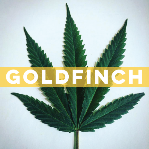 GoldfinchWeed.jpg
