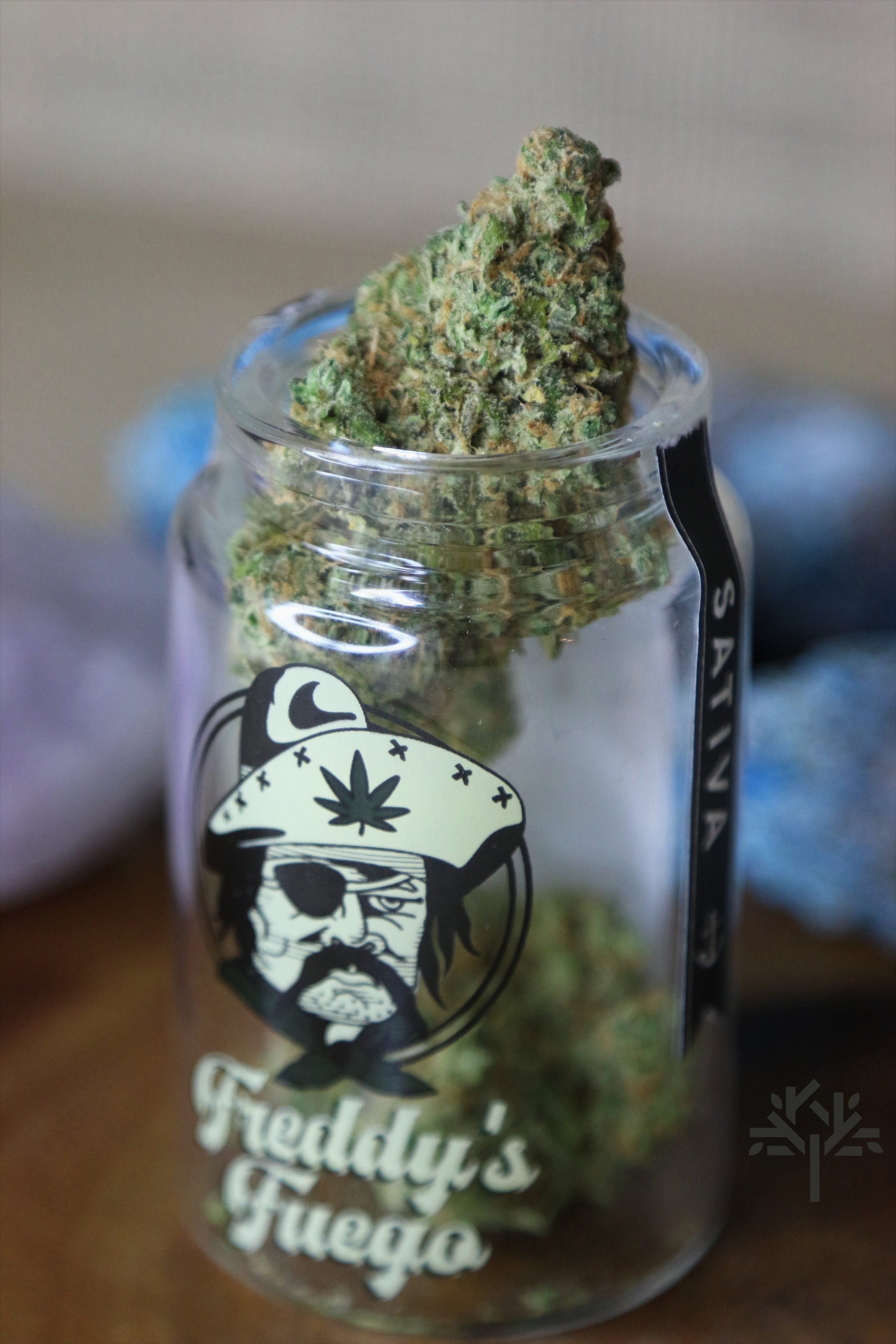 FF - Tangie(2) _ wm.jpg