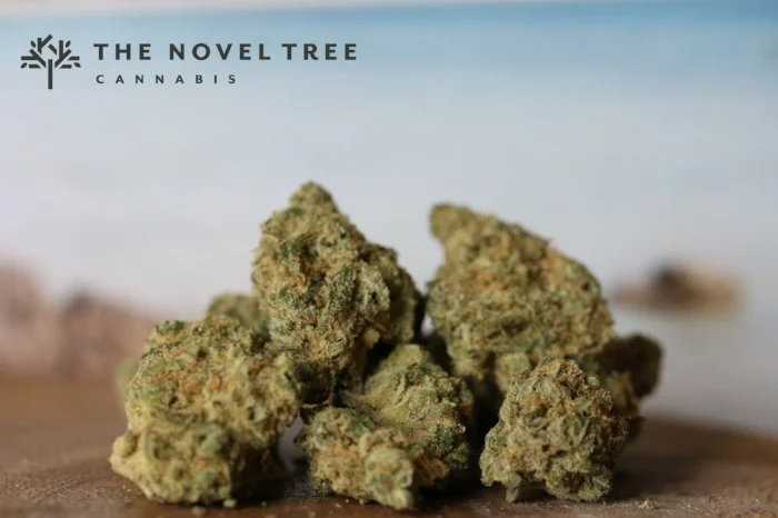 Marley Naturals DutchHawaiian Nug Shot _ wm.jpg