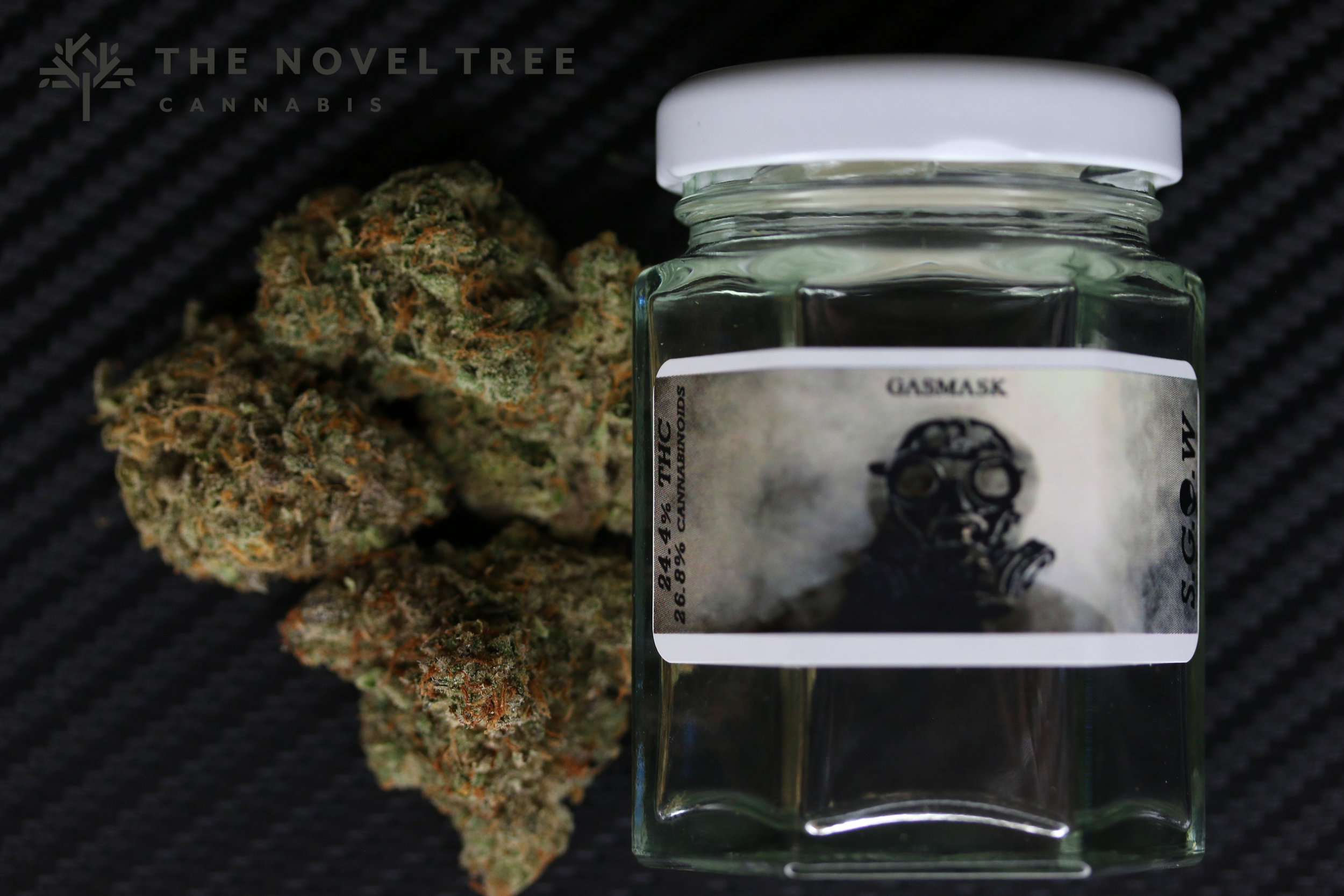 SGOW - GasMask8.jpg