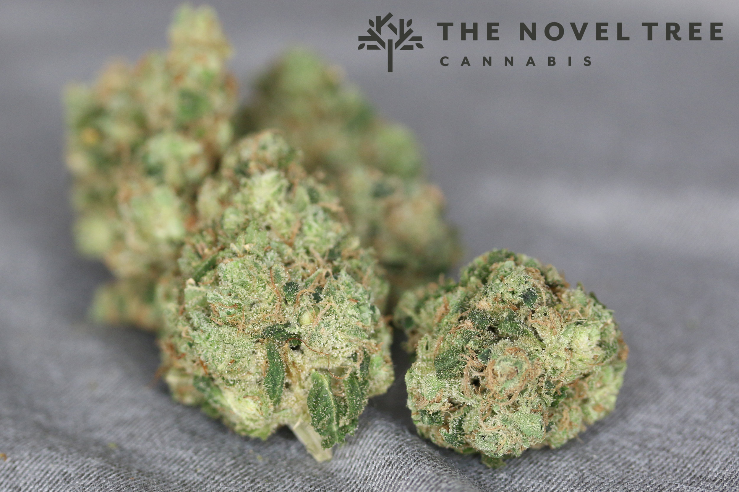 SGOW - Sour Diesel4.jpg