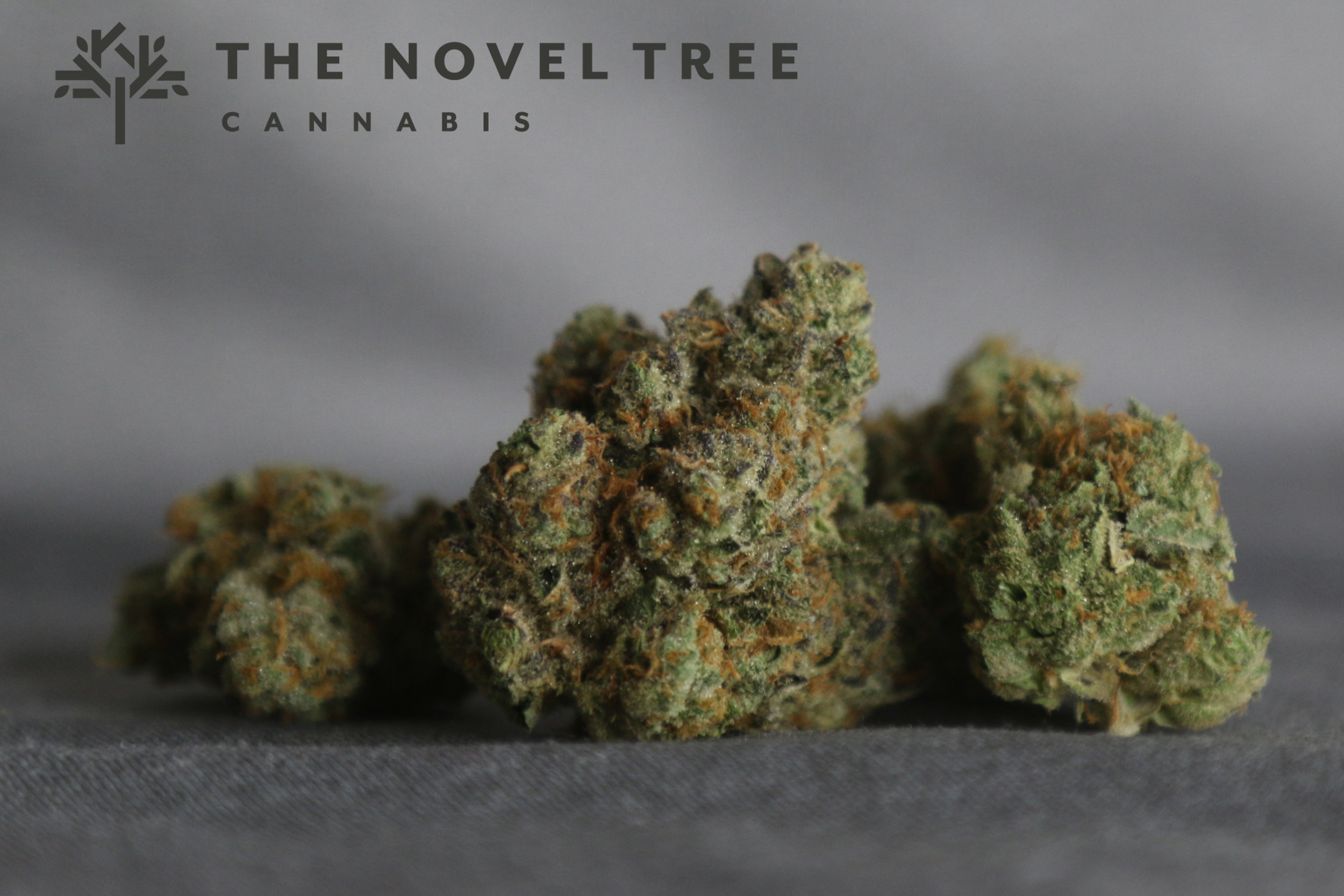 SGOW - White Tahoe Cookies4.jpg