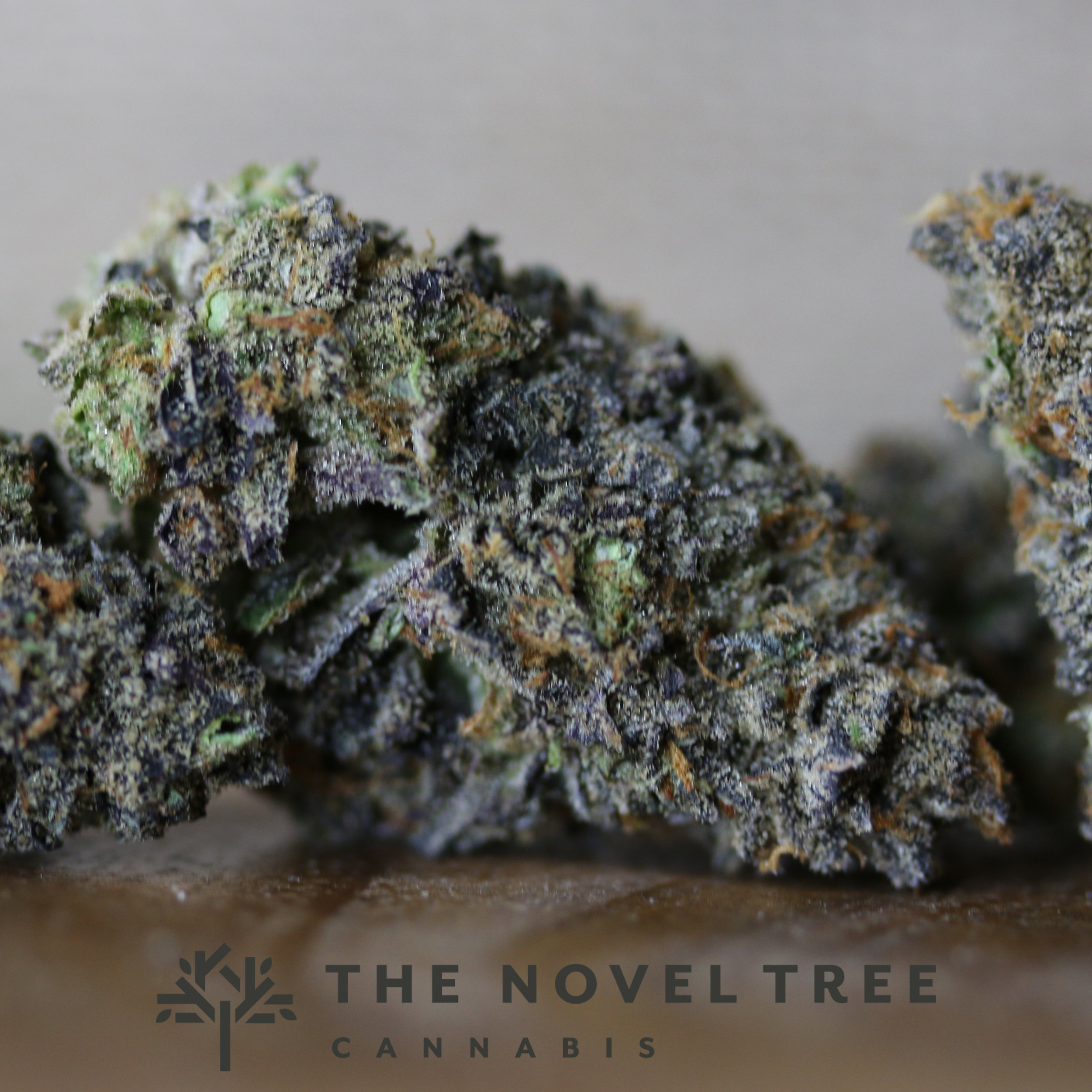 FF - PurplePie6.jpg