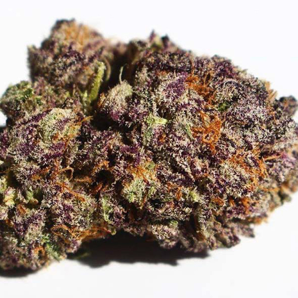 cloud-9-farms-strains-6.jpg