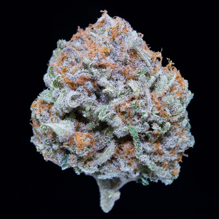 Falcanna-Jack-Herer.jpg