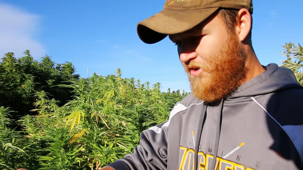 Utah Native and Puffin’s lead cultivator, Casey. Now an Ellensburg resident, he spends his days among the flowers.