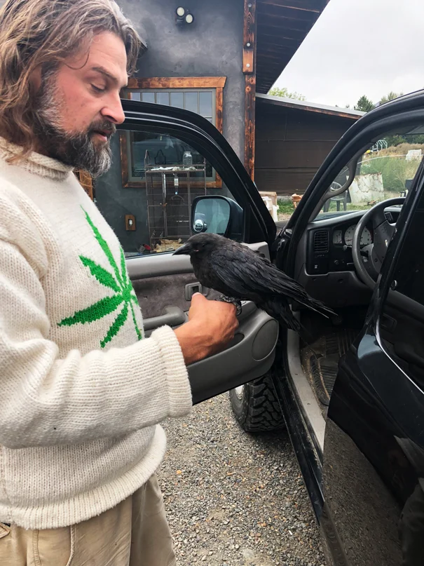 This injured crow is being fostered back to health by Lazy Bee’s resident bird whisperer, Neil. At Lazy Bee there are truly good vibes present.