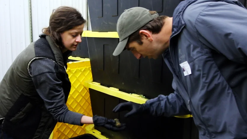 Terri from Puffin Farms describes the curing process. Big thanks to Terri and team for hosting us!