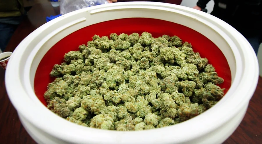 SGOW_Flower_2.jpg