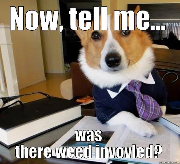 Meme_Corgi_Lawyer_Weed_Involved.jpg