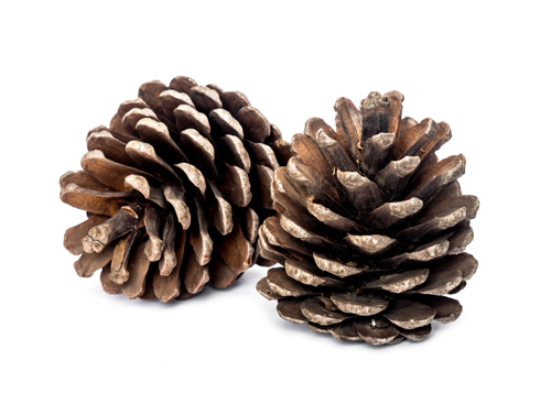 Pinene.jpg