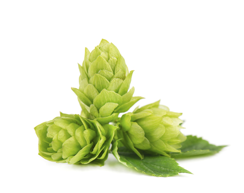 Myrcene.jpg
