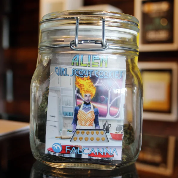 Falcanna_Alien_GSC.jpg