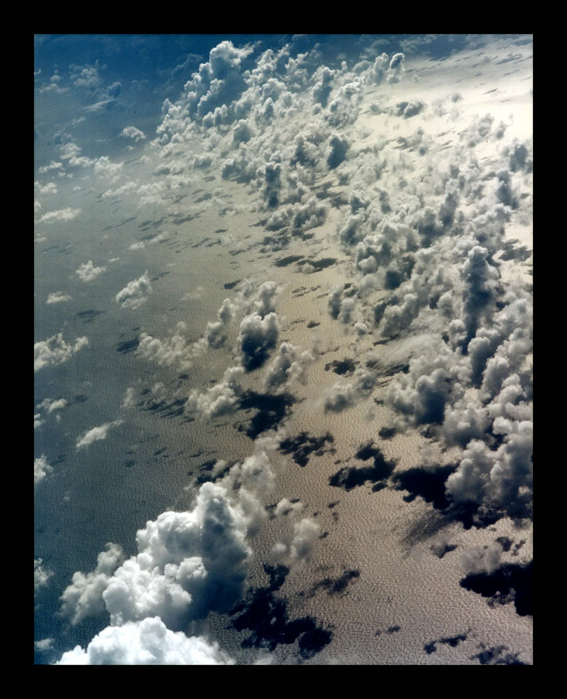 20818-50475-2.jpg