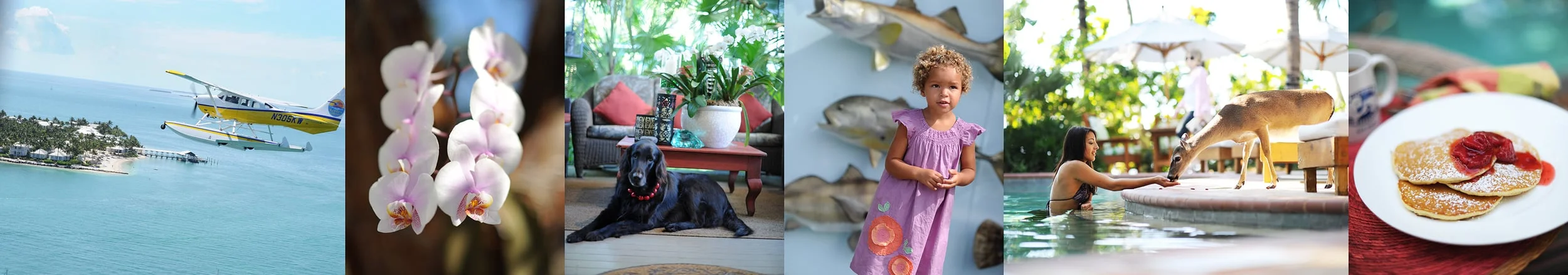 Florida Keys combo 2.jpg