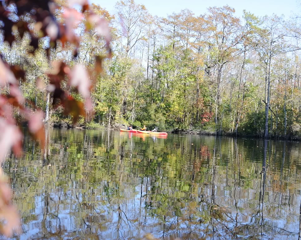 DSC_3045.jpg
