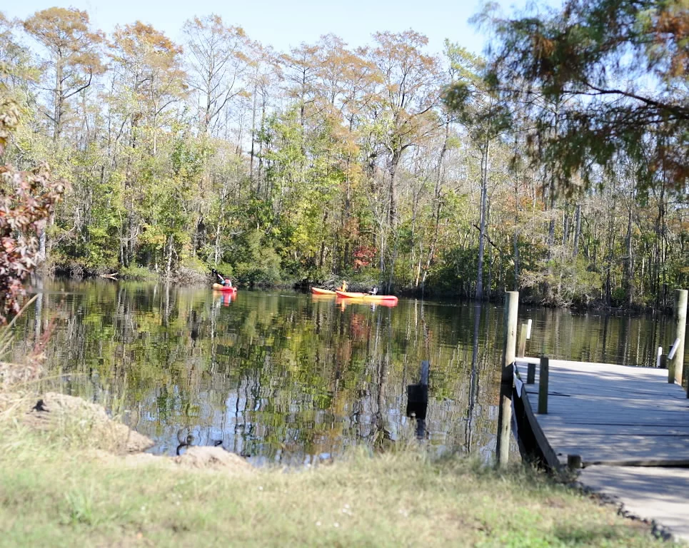 DSC_3044.jpg