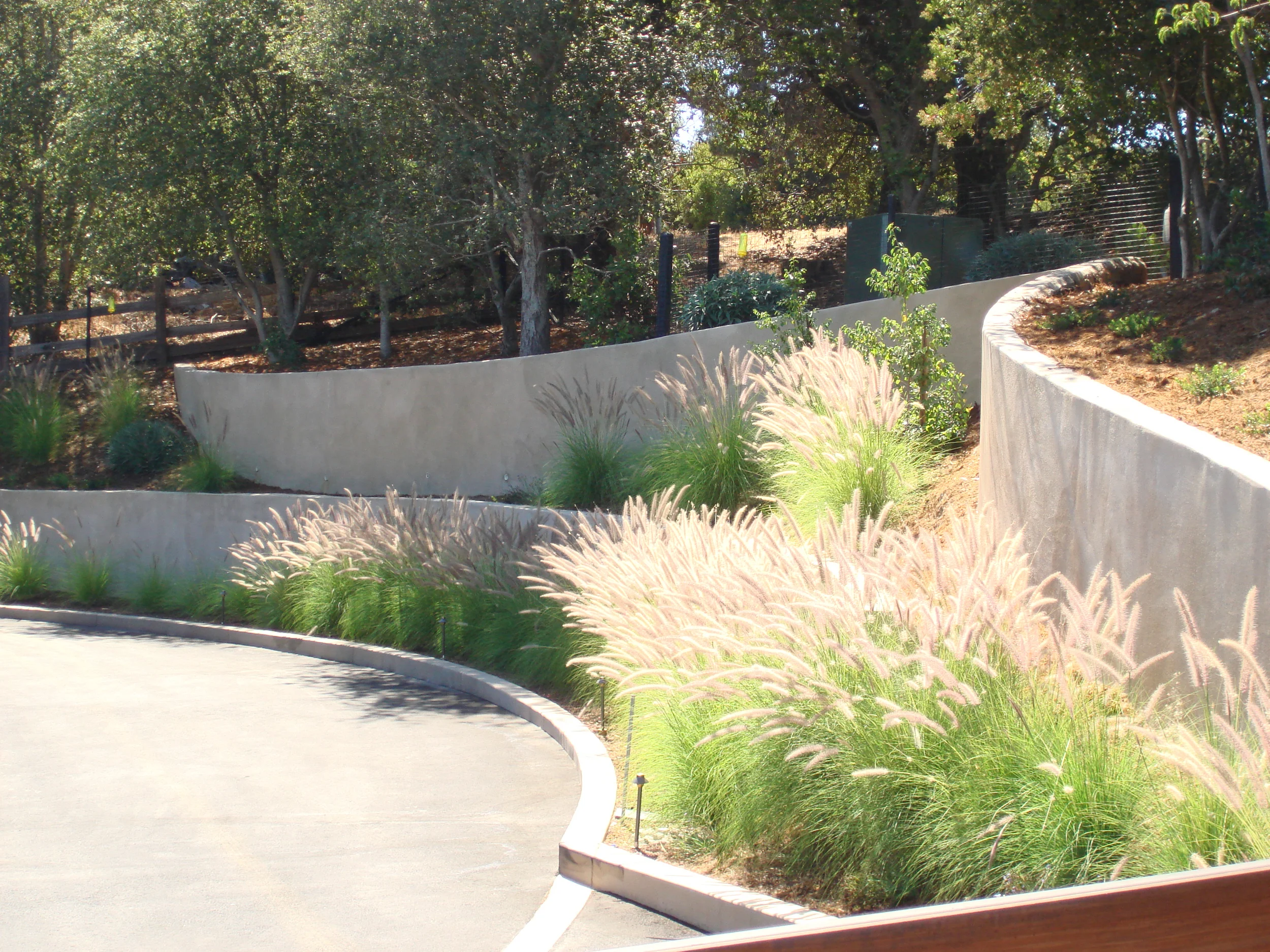 Cleaver Design Associates - Landscape Architect - Alamos Project - Portola Valley, CA - San Francisco Bay Area Residential Landscape Design