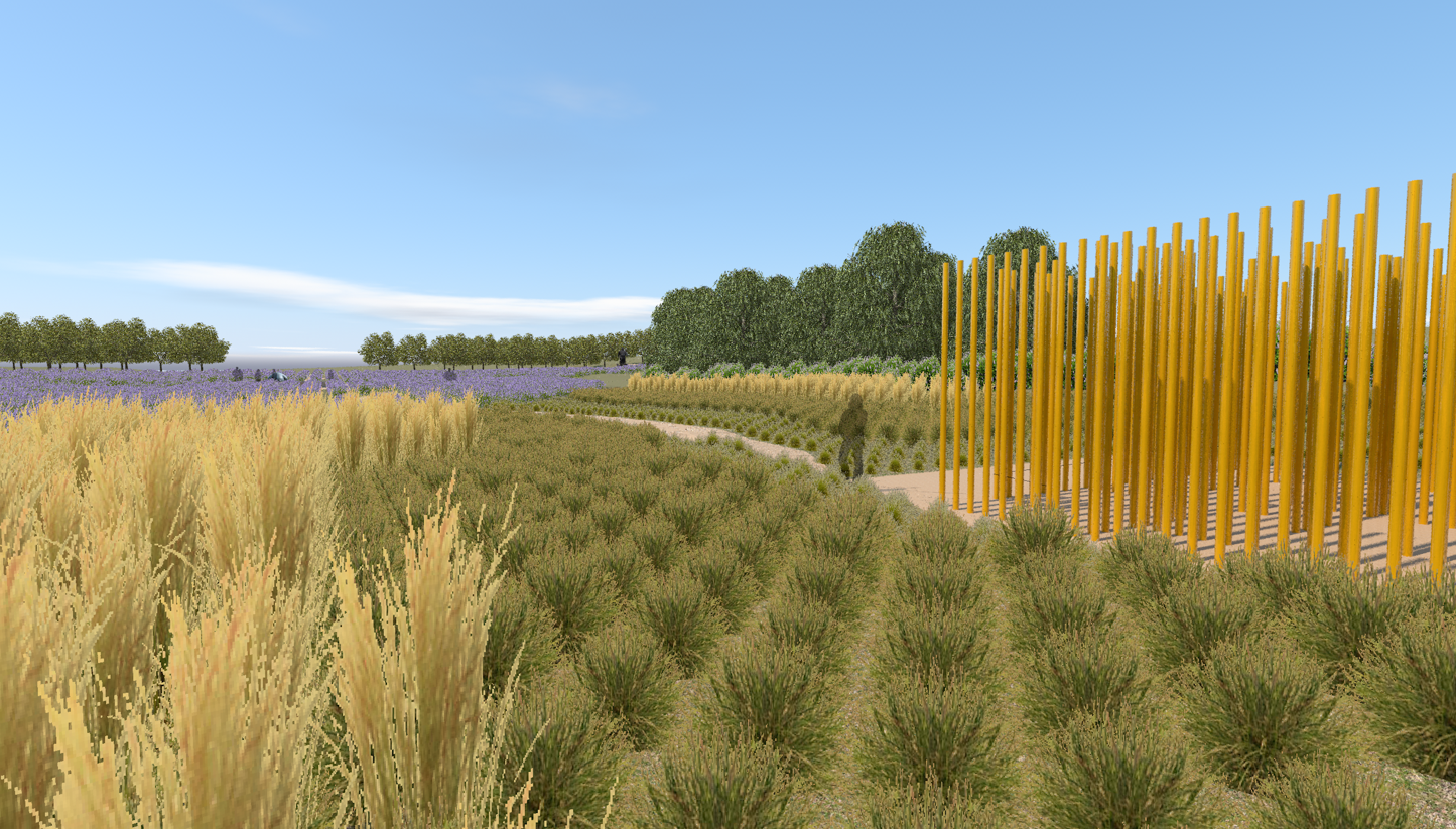 Future Development