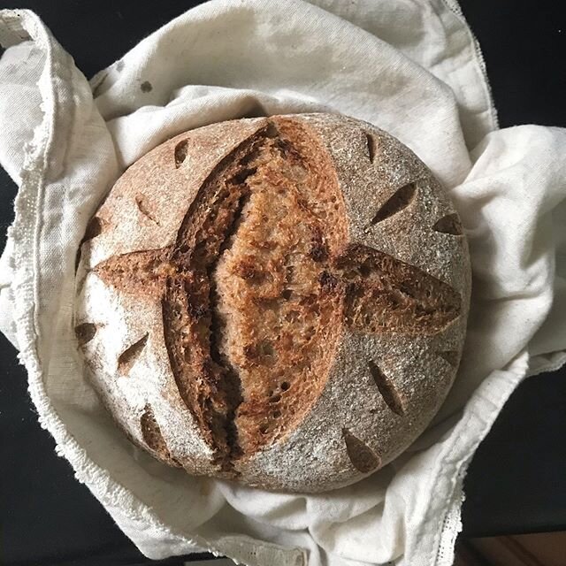 Whenever I am praying and asking the Lord for perspective, He almost always brings me back to sourdough. 
He&rsquo;ll ask me:
&ldquo;Do you see how I can turn something as simple as flour and water into a double portion to nourish you&mdash; if you t