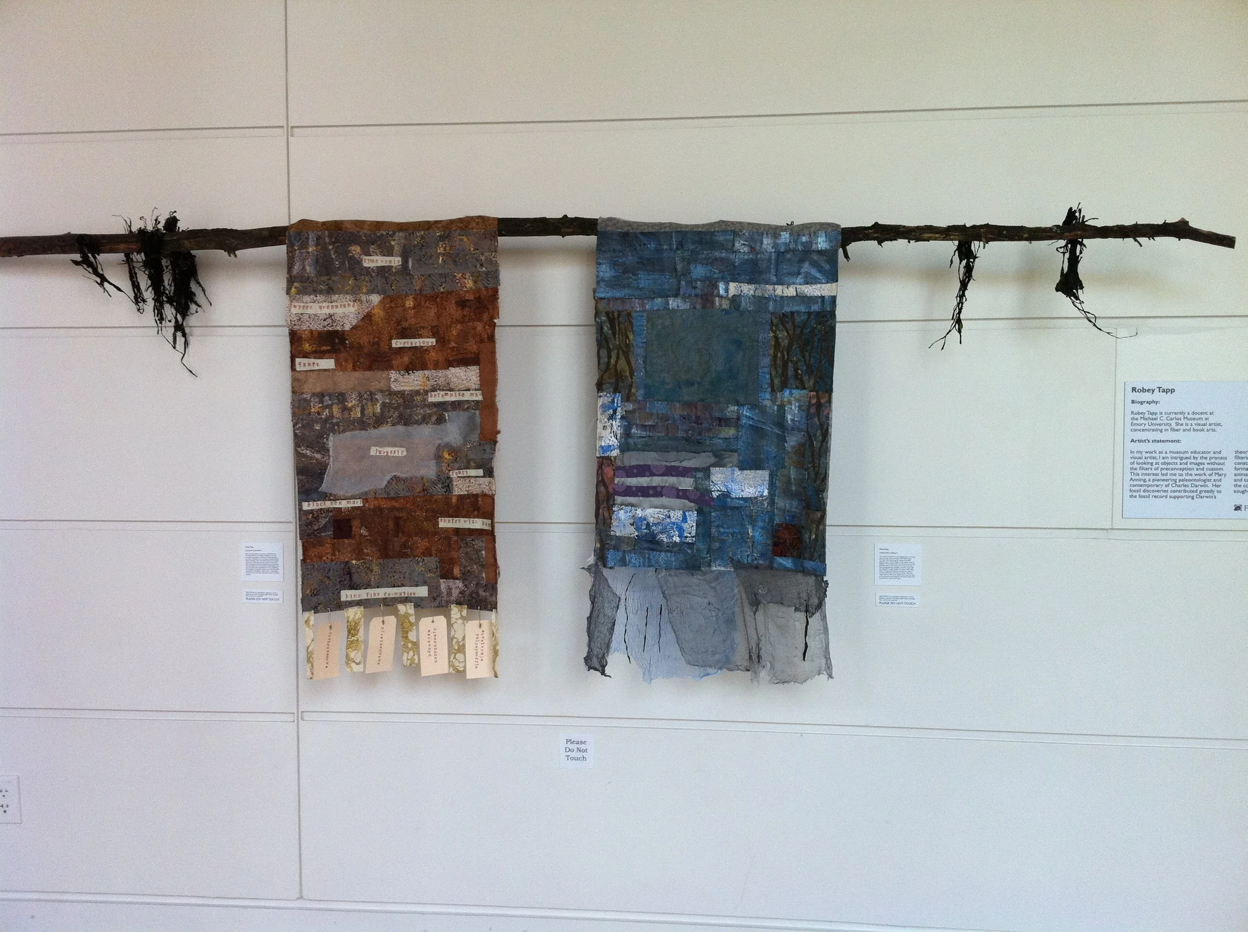 Robey's two hangings at Fernbank Museum Exhibit