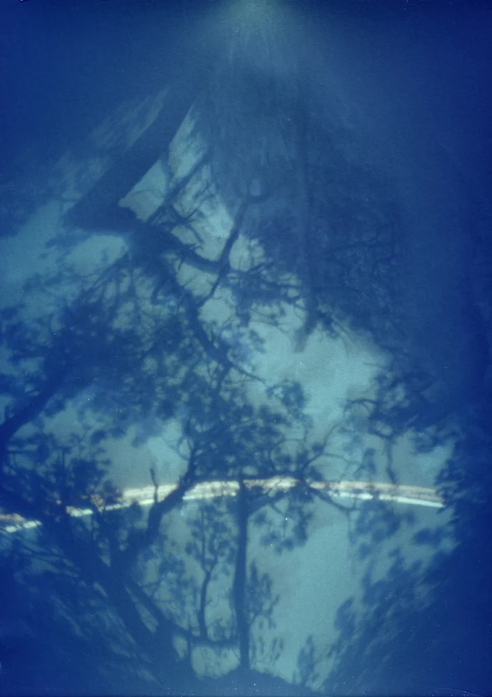 Canopy