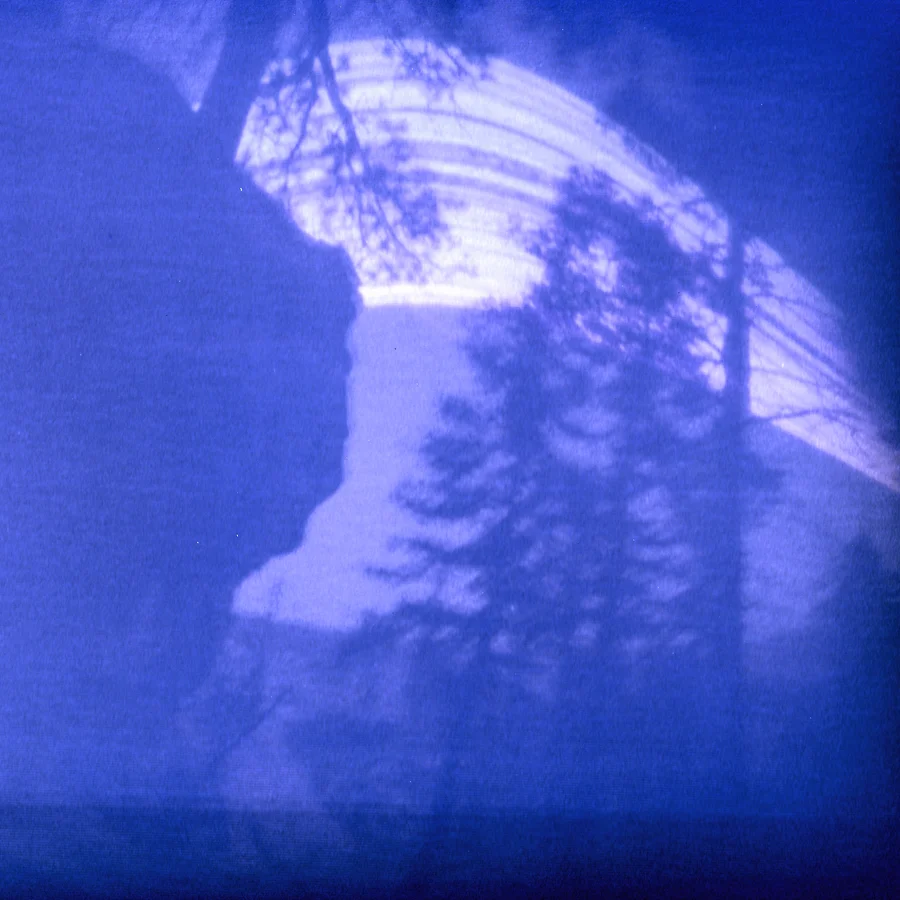 Ponderosa Gulch