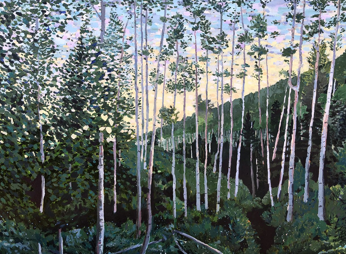 Early Evening in the Aspens