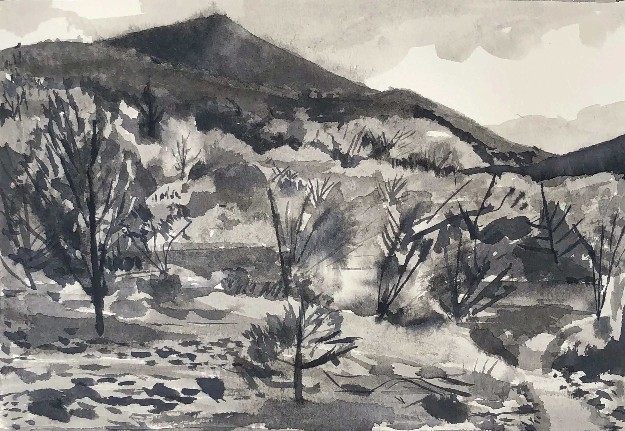 Morning on Picacho Peak 