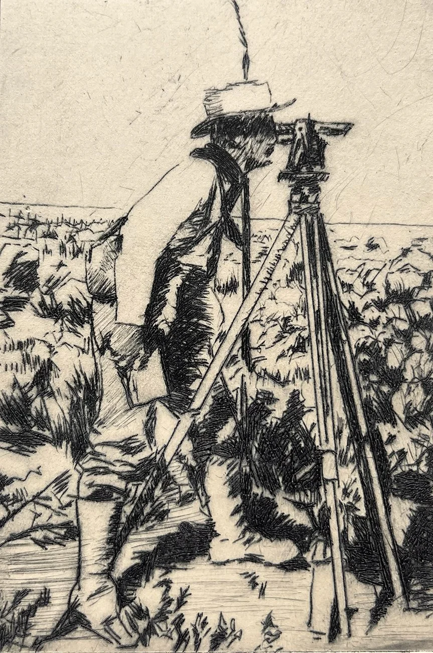 The Surveyor