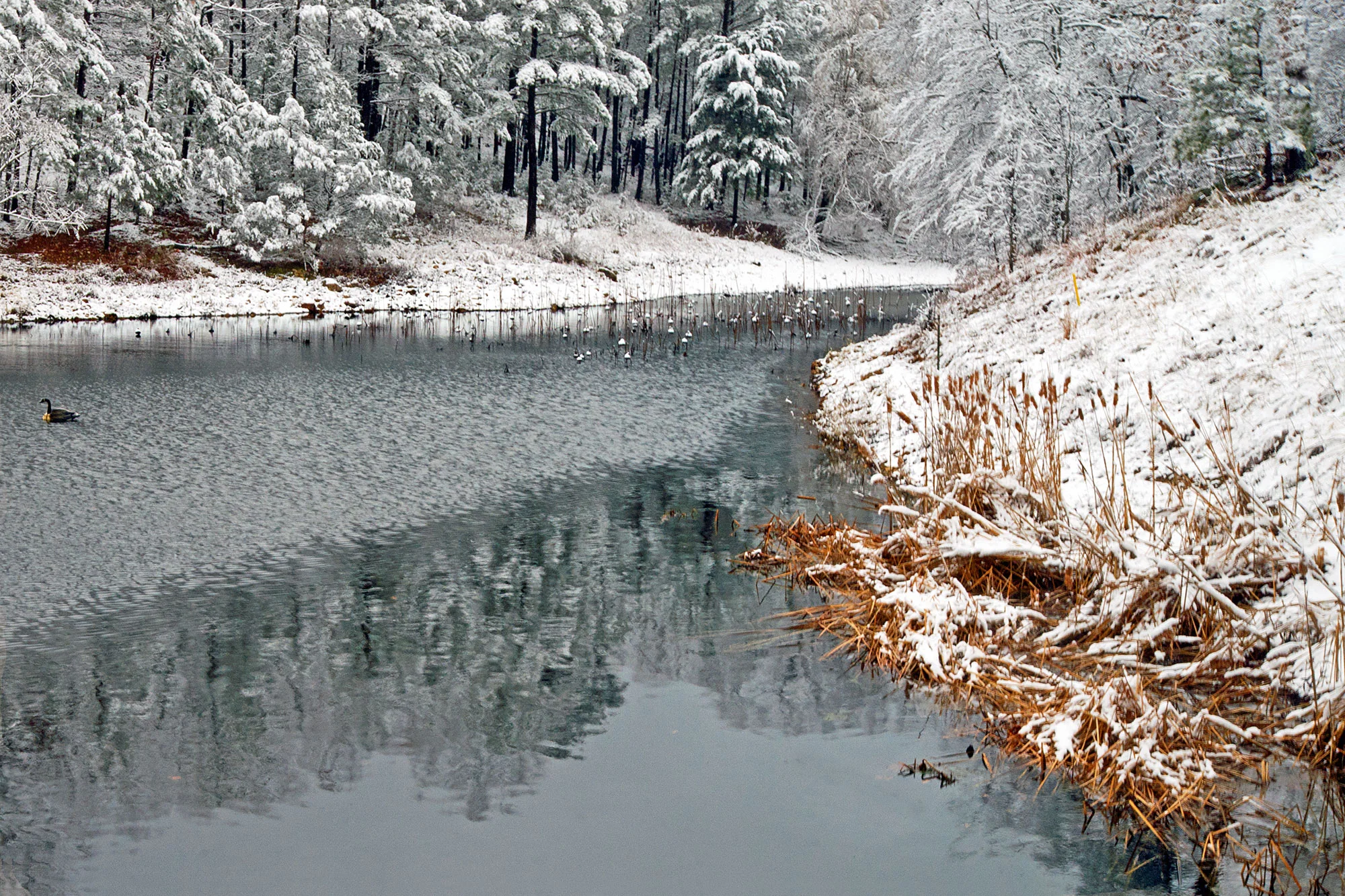 HI Winter Wonderland.jpg
