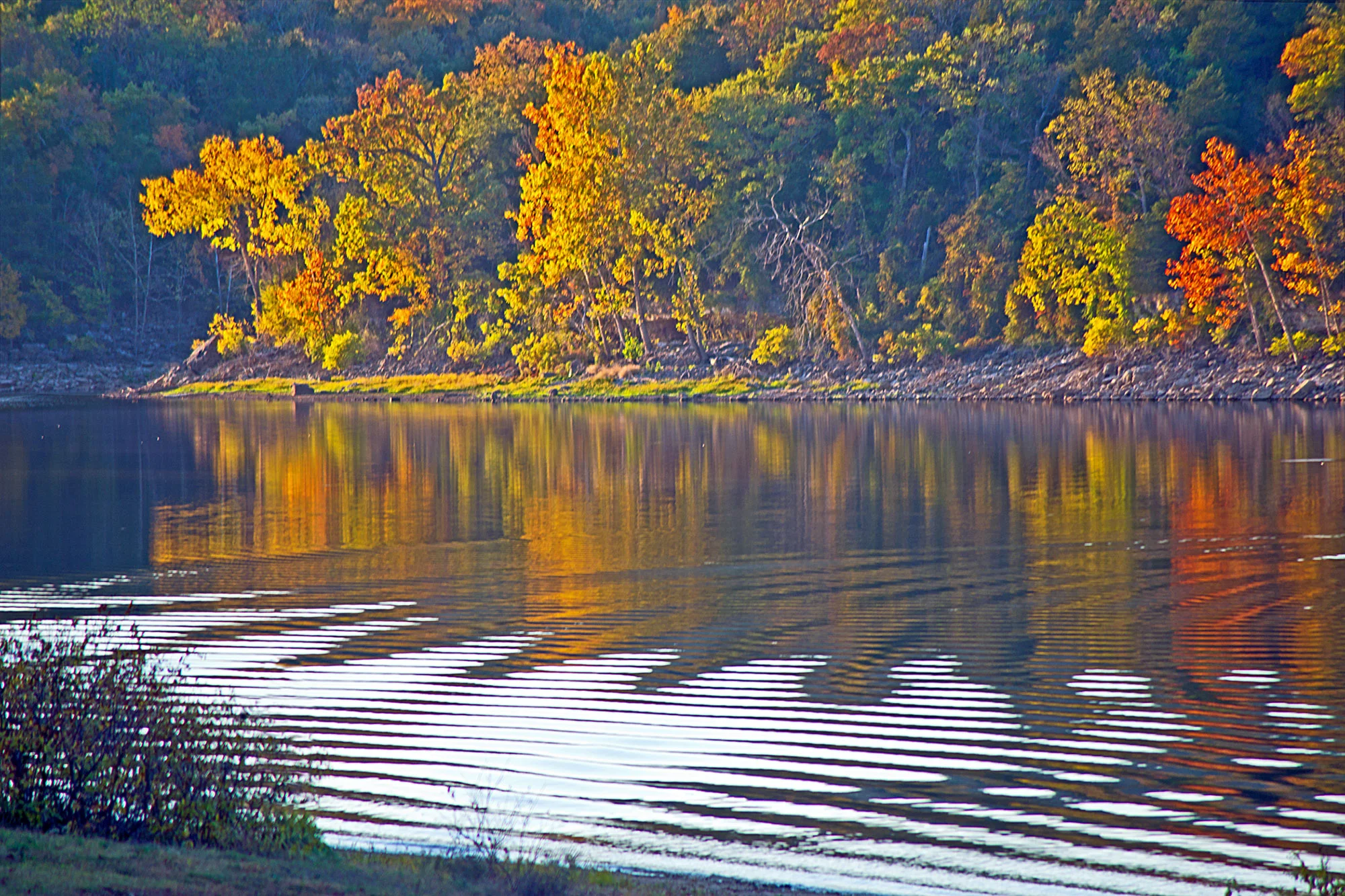 Ripples On Still Waters Fall Season.jpg
