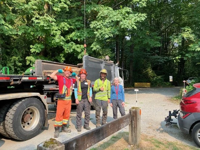 8-25-TreeRemove (10).jpeg