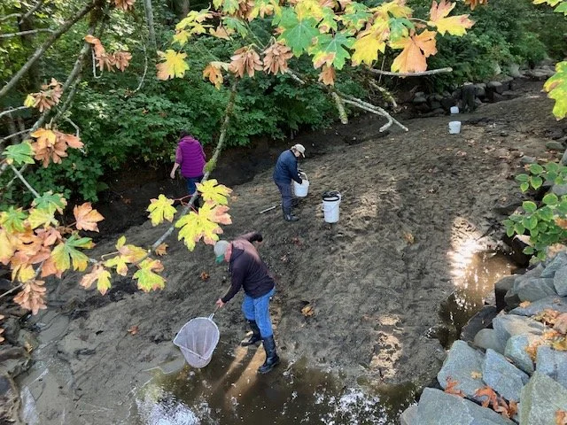 9-21-FishRescue (7).jpeg