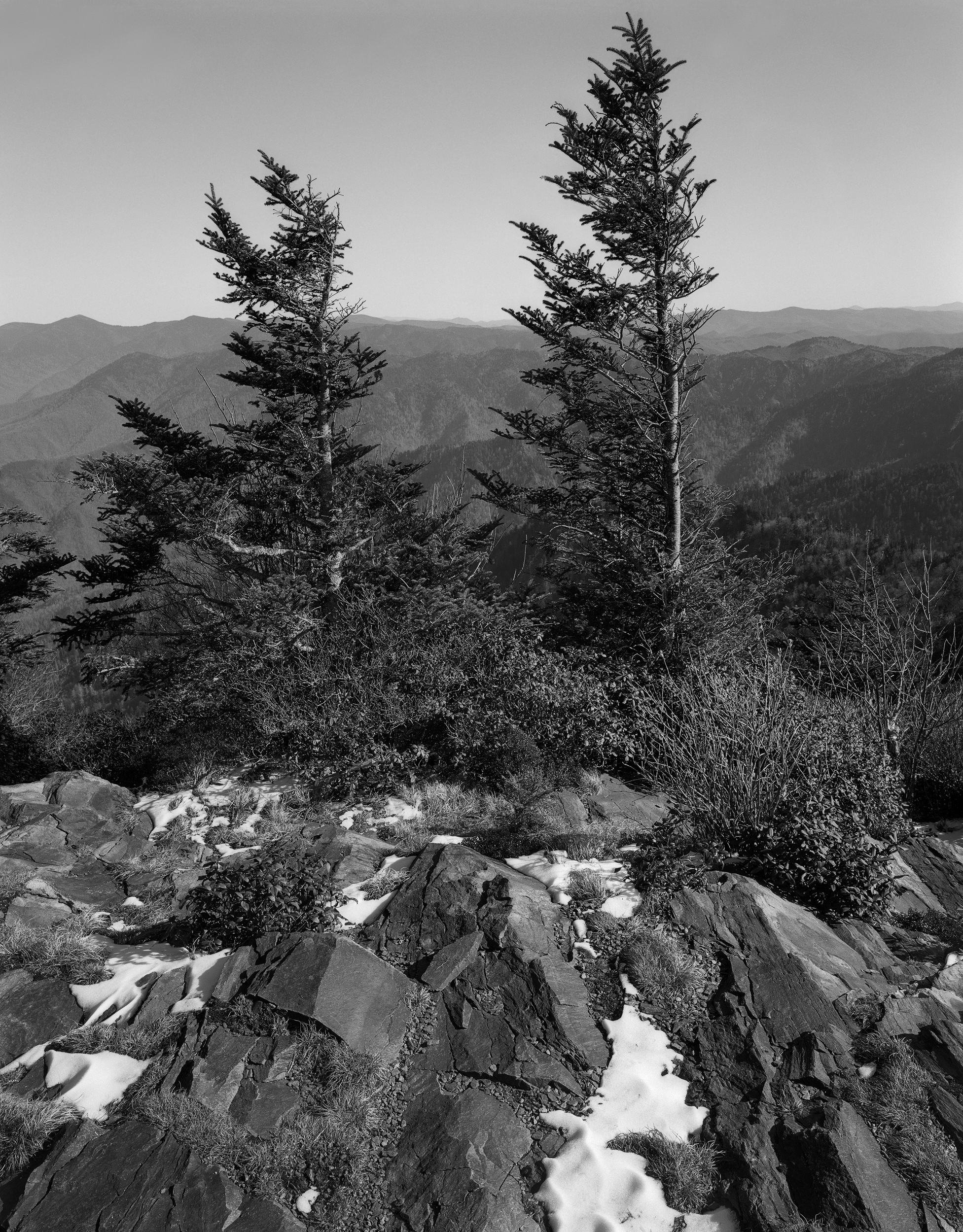 "Room with a View" shot on 4x5 Ilford Delta 100