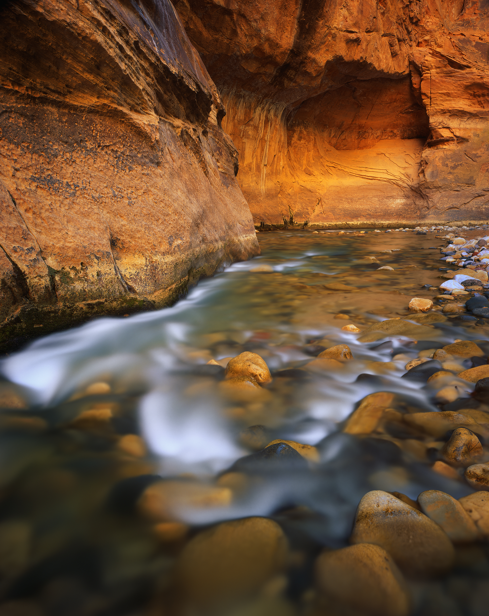 'Chance Encounter' (2:30 on 4x5 Fuji Velvia 50, f/45, polarizer)