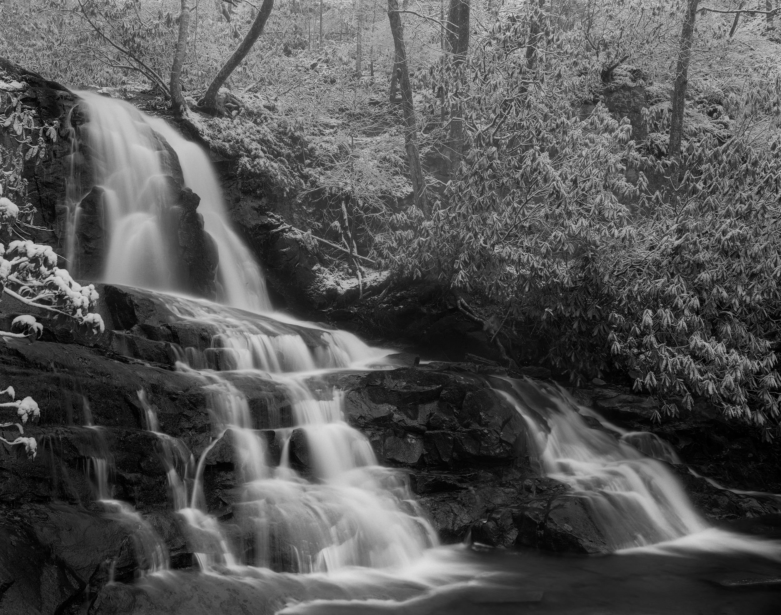 Laurel Falls 4x5 Ilford Delta 100, f/32, 6s, N+1 development