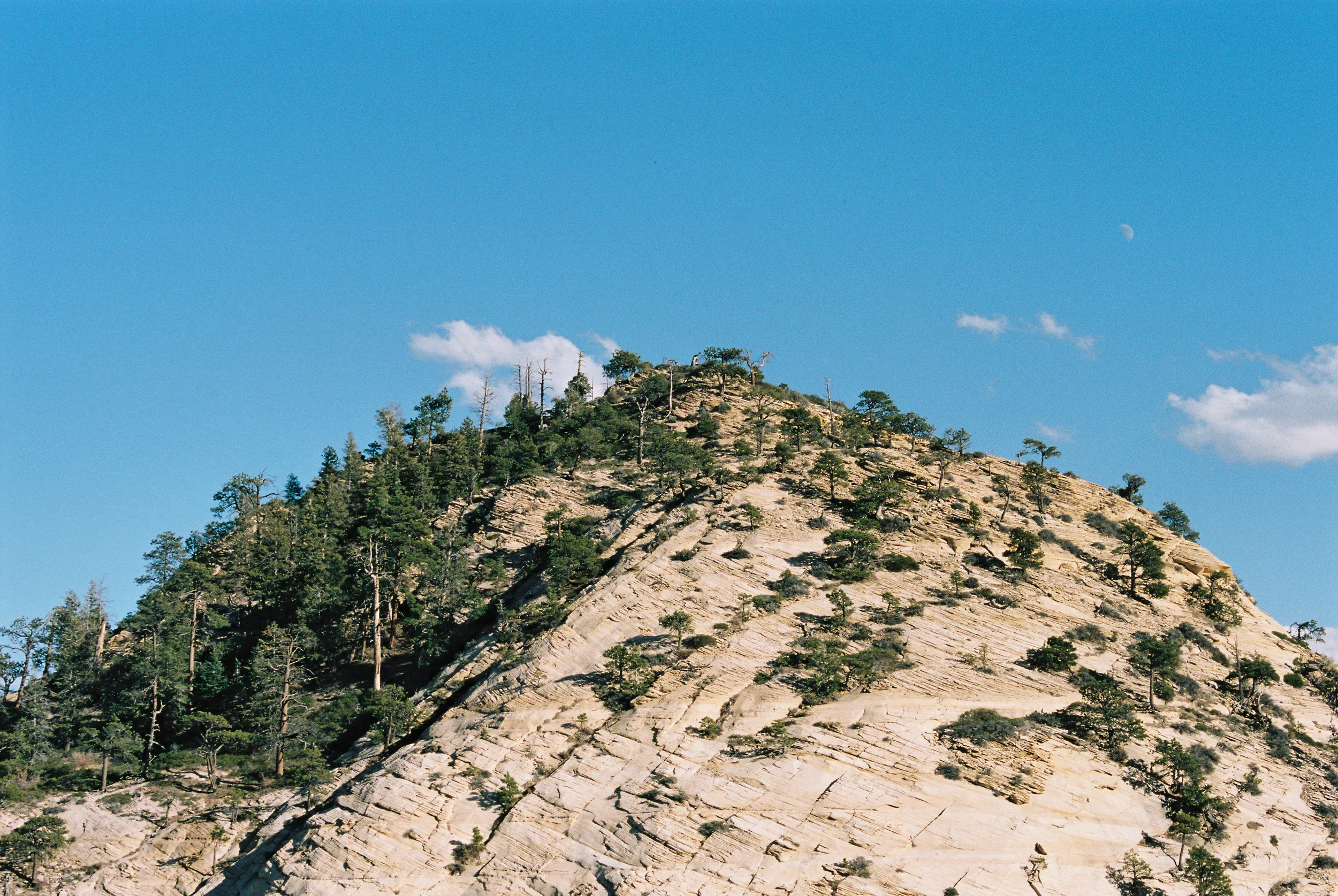 East Northgate Peak. 35mm Kodak Portra 160.