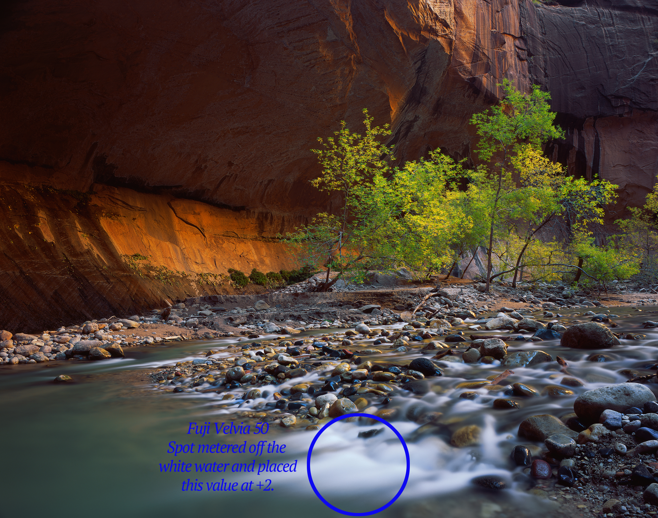 This is why I always have Velvia around.