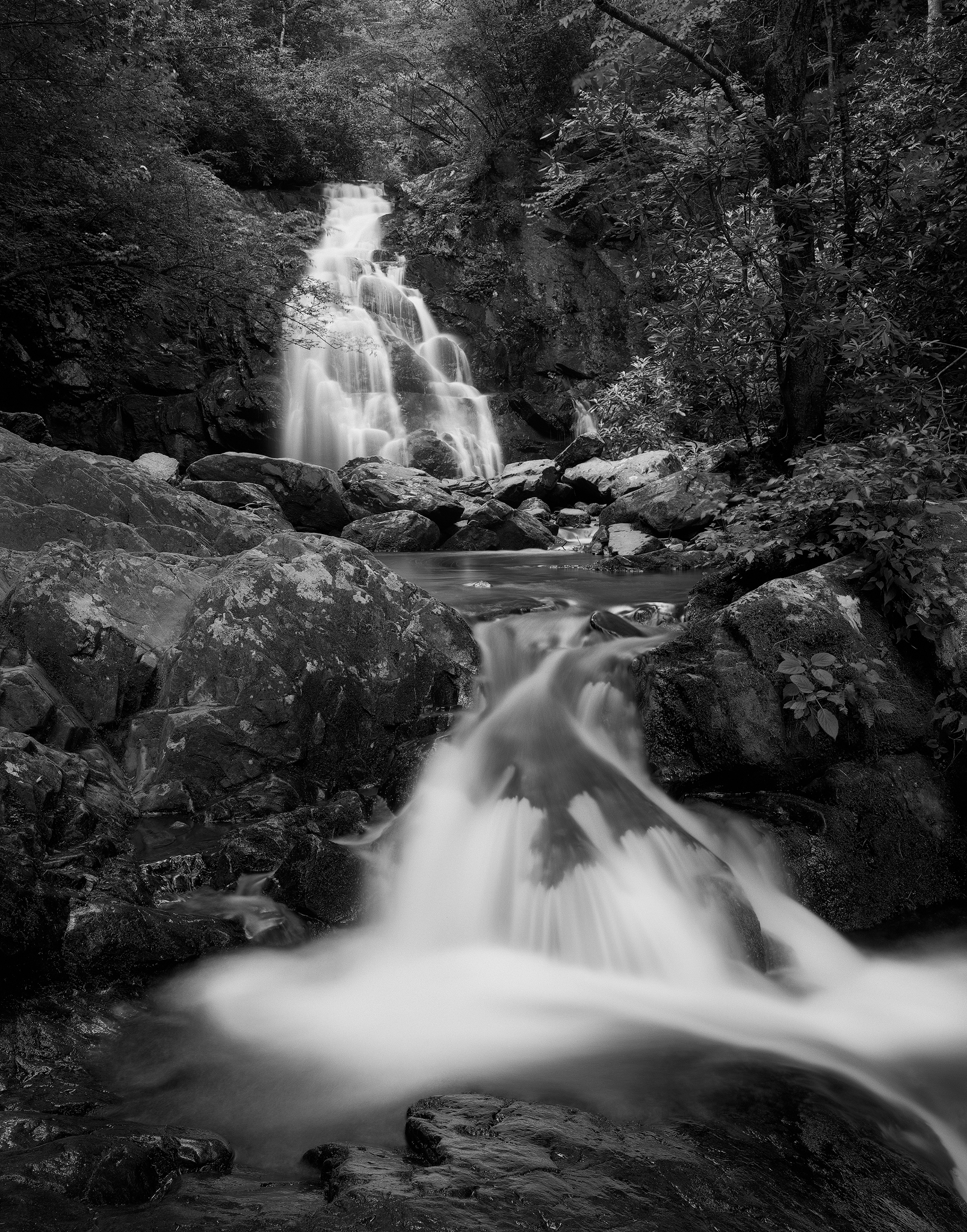 Two compositions in one day!  Basically sprayin' and prayin'