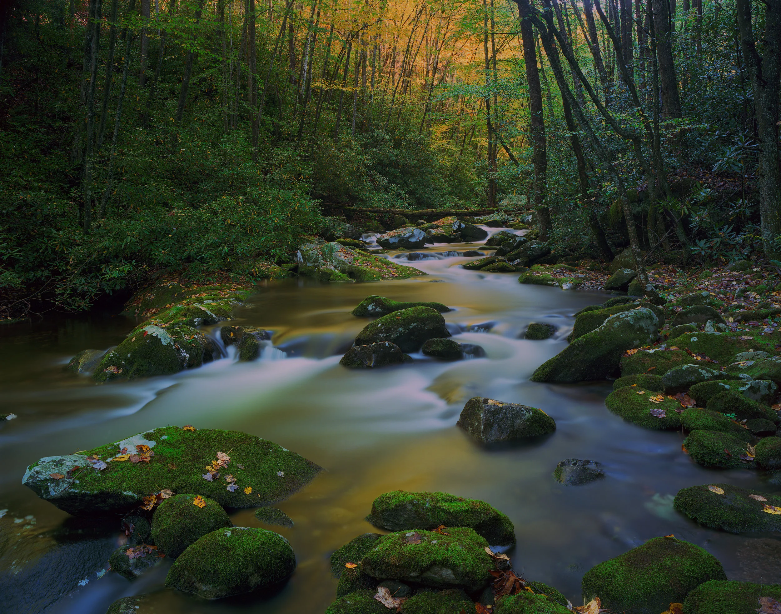 Serenity