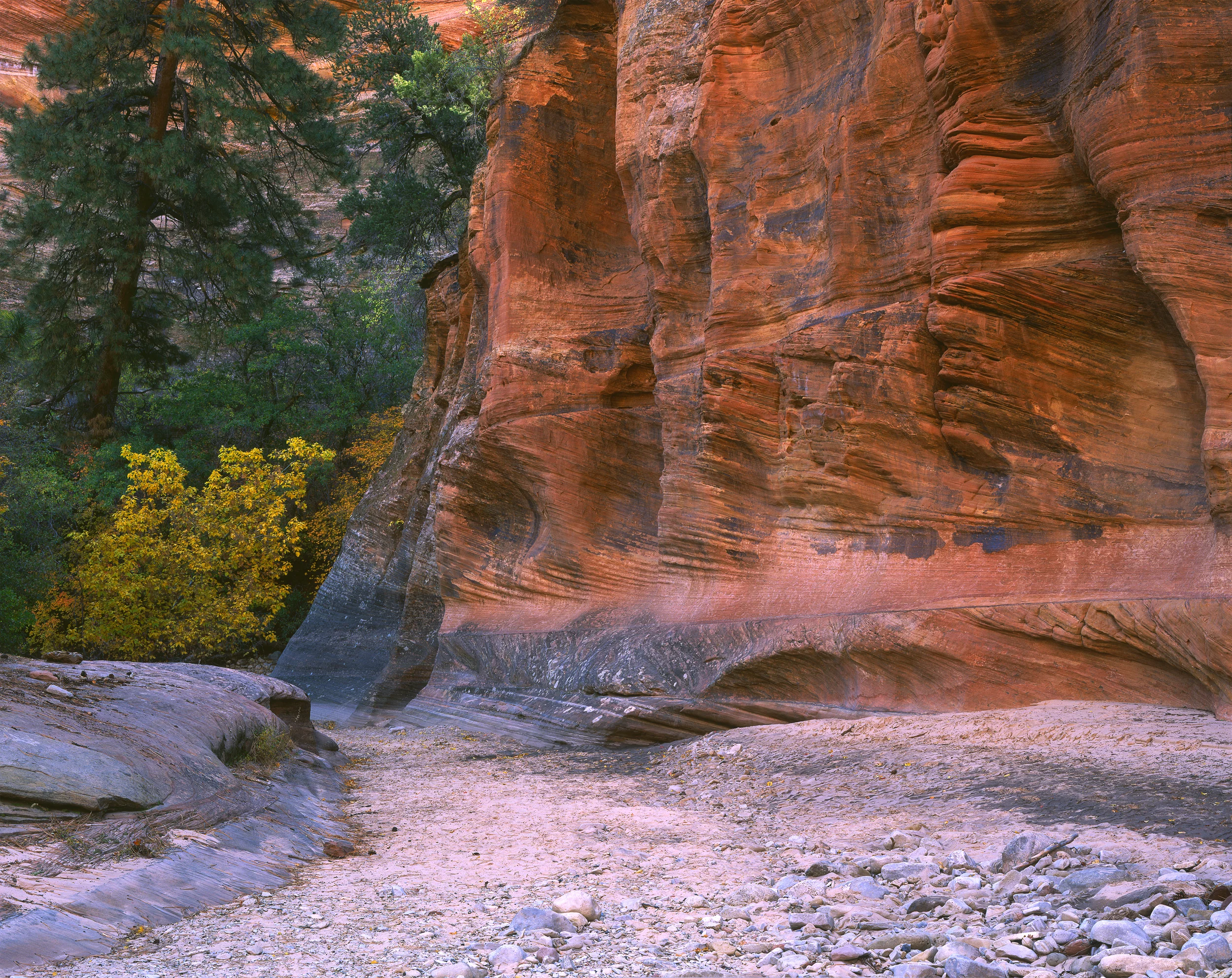 Zion's Fortress