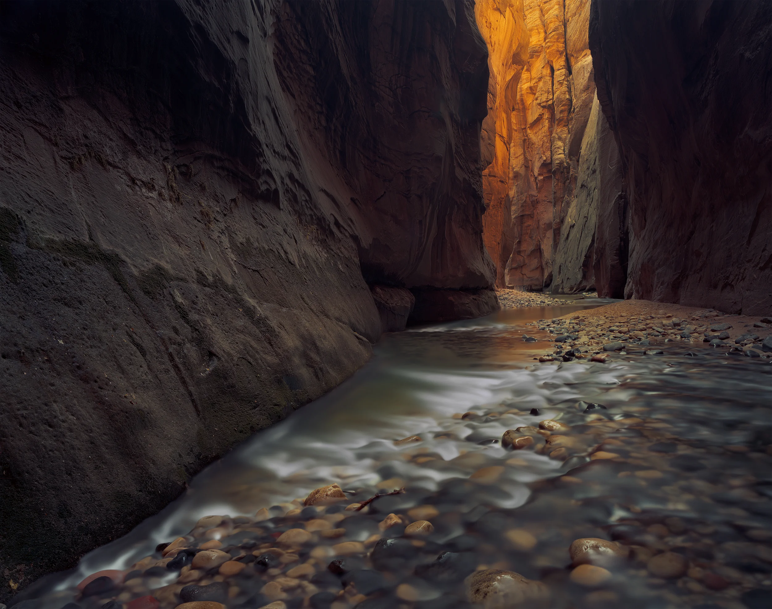 Toward the Light