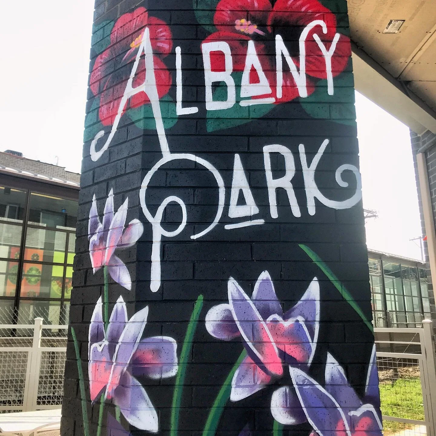 beautiful day in the new neighborhood