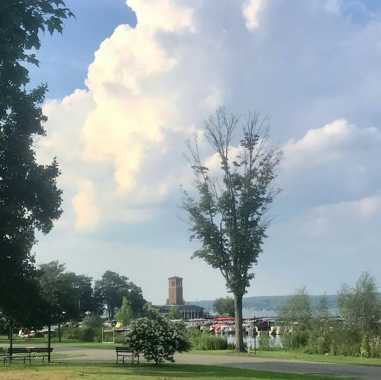 a very incomplete lil photo roundup for chq 2021