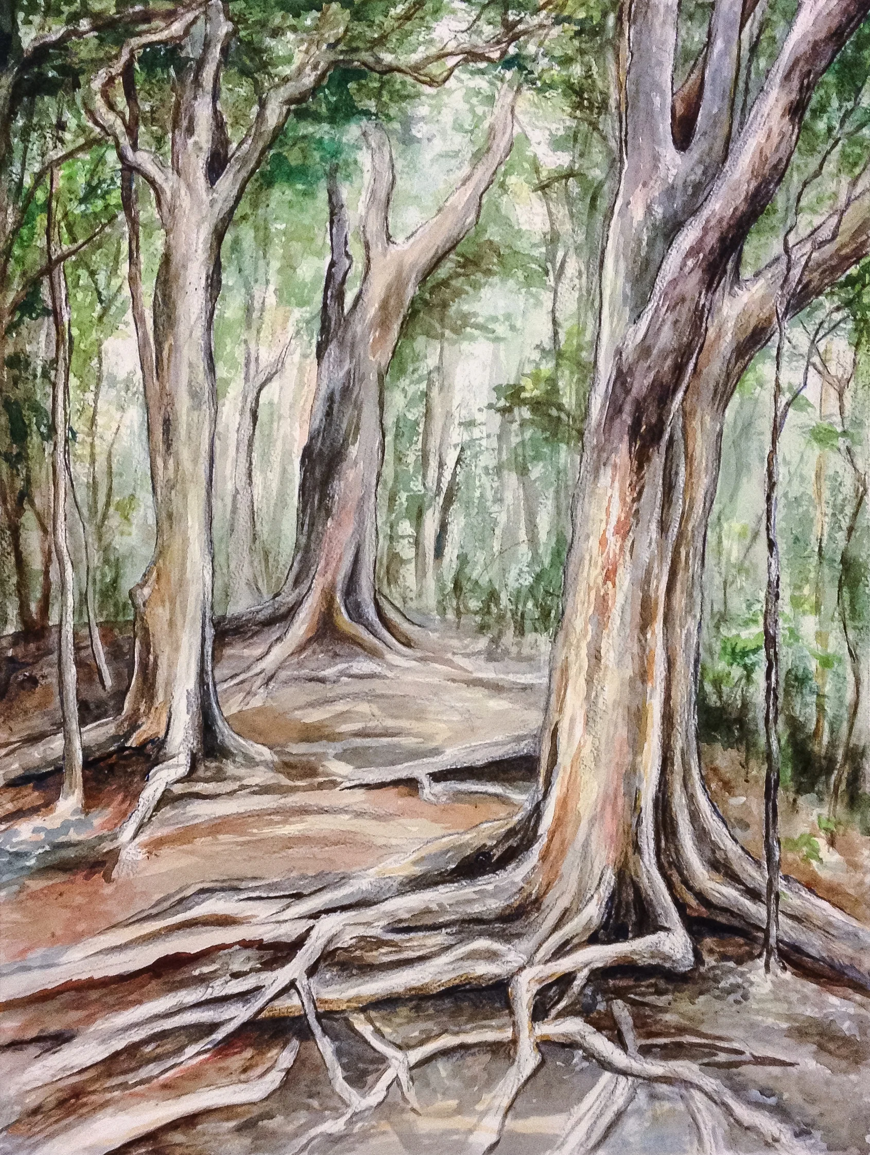 Magic Woods Trees.jpg