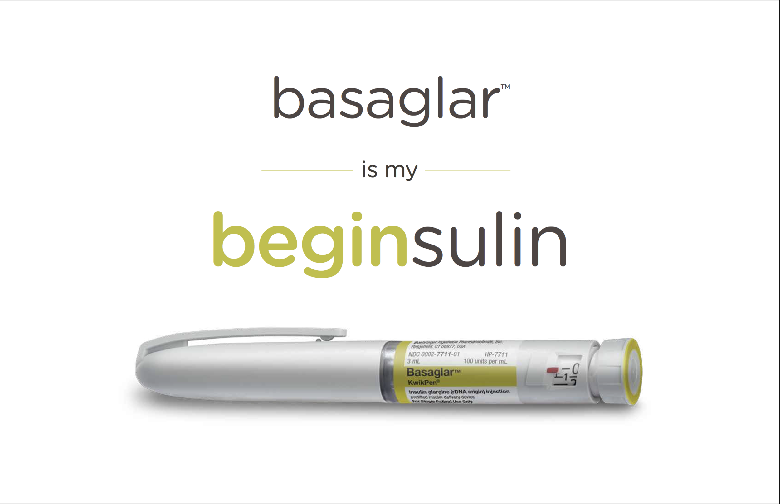 A_BOOK_Beginsulin 2.png