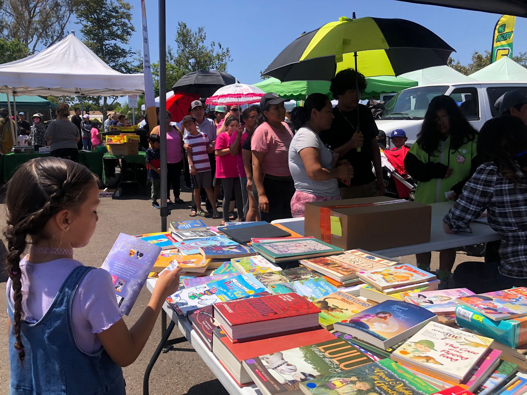 WhatsApp Image 2024-08-16 at 15.52.26_0cd2e0e4.jpg